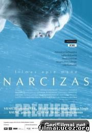 Narcizas / Narcissus