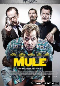 Mulas / The Mule