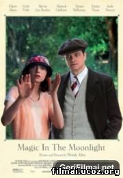 Mėnesienos magija / Magic in the Moonlight