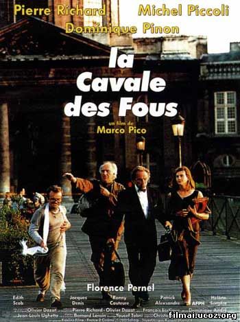 Pamišėliai laisvėje / La cavale des fous