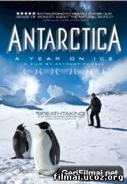 Antarktida: Metai ant ledo / Antarctica: A Year on Ice
